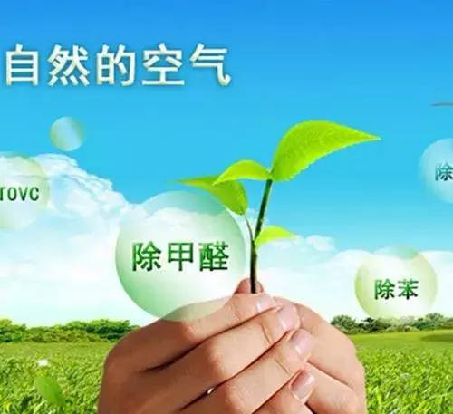 甲醛超標(biāo)怎么判斷呢？