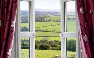 央視除甲醛最有效方法，記住這幾個能幫您快速